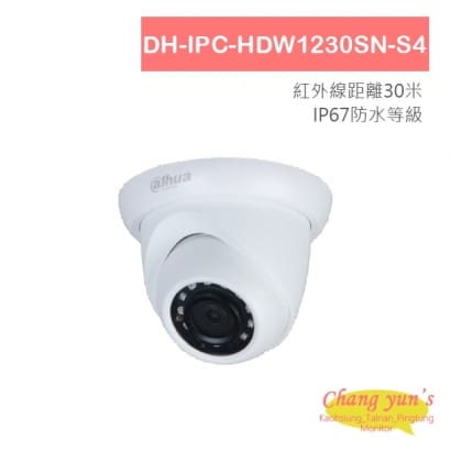 大華 DH-IPC-HDW1230SN-S4 2百萬畫素 紅外線IPcam 網路攝影機