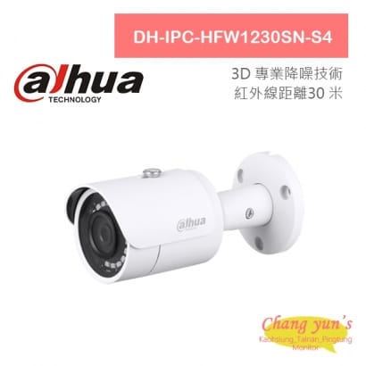 大華 DH-IPC-HFW1230SN-S4 2百萬畫素 紅外線IPcam 網路攝影機