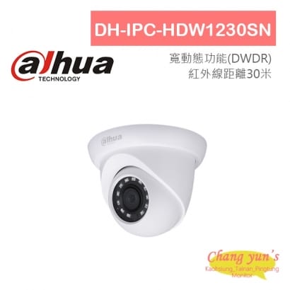 大華 DH-IPC-HDW1230SN 1080P 半球型紅外線IPcam 網路攝影機