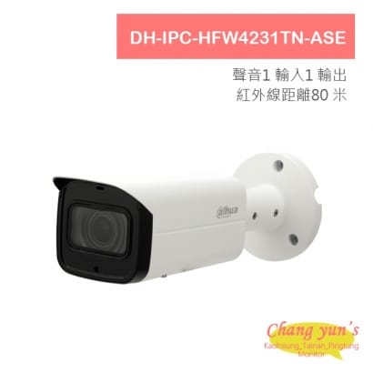 大華 DH-IPC-HFW4231TN-ASE 2MP 寬動態紅外線IPcam 網路攝影機