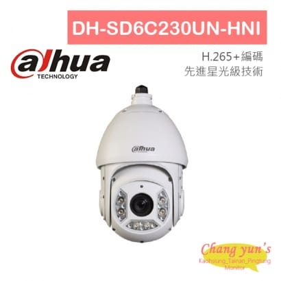 DH-SD6C230UN-HNI 星光級30倍1080P紅外線IP快速球 大華dahua 監視器攝影機