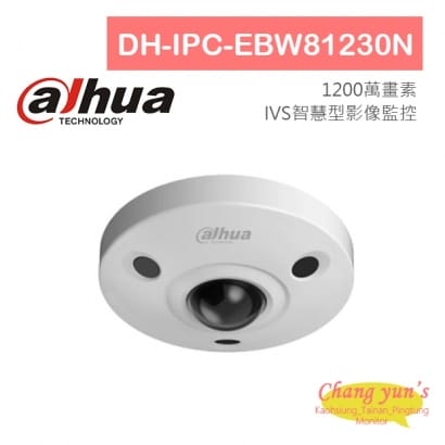 DH-IPC-EBW81230N 全景H.265 12MP紅外線IP攝影機 大華dahua 監視器攝影機