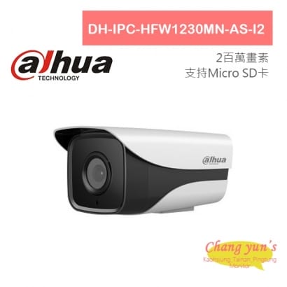 DH-IPC-HFW1230MN-AS-I2 H.265 1080P紅外線IP攝影機 大華dahua 監視器攝影機