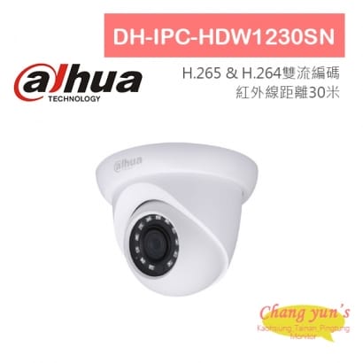 DH-IPC-HDW1230SN H.265 1080P半球型紅外線IP攝影機 大華dahua 監視器攝影機