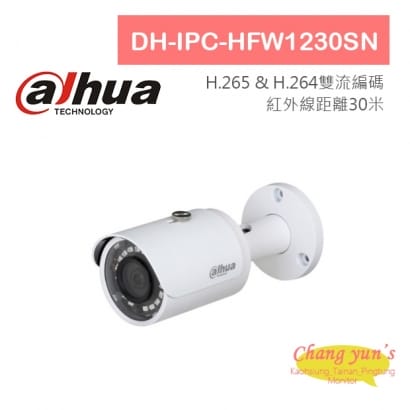 DH-IPC-HFW1230SN H.265 1080P紅外線IP攝影機 大華dahua 監視器攝影機