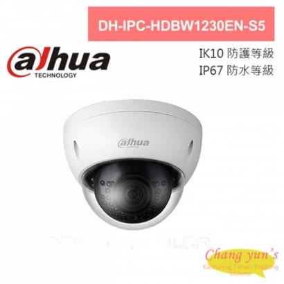 大華 DH-IPC-HDBW1230EN-S5 2MP半球型紅外線網路攝影機 IPcam