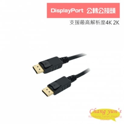 DisplayPort 公轉公接頭