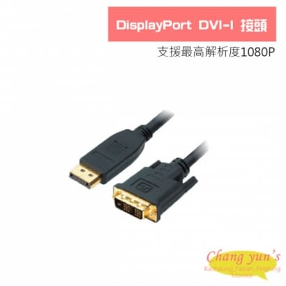 DisplayPort DVI-I 接頭