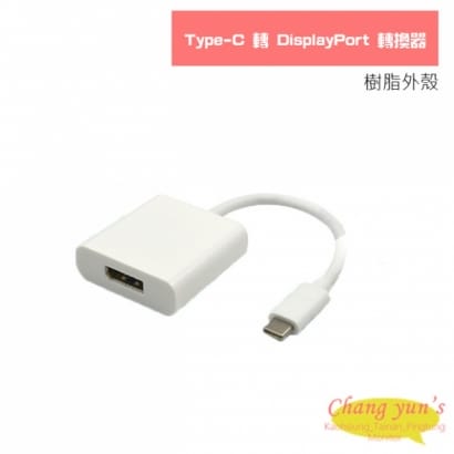 Type-C 轉 DisplayPort 轉換器