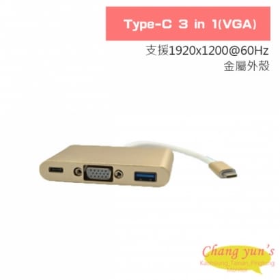 Type-C 3 in 1(VGA)轉換器